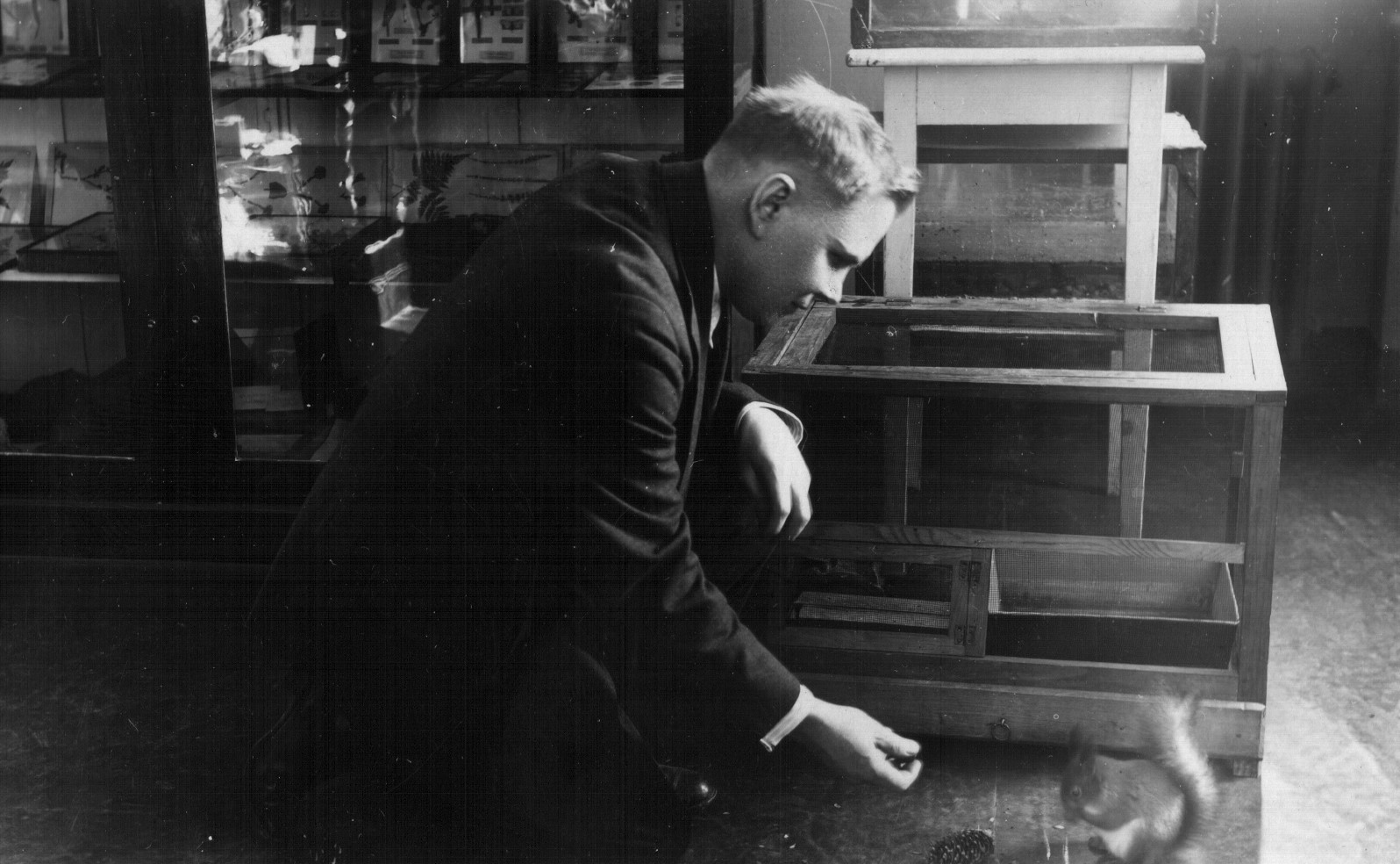 Vincas Ruzgas Pedagoginio muziejaus gyvosios gamtos kampelyje maitina voverę. XX a. pirma pusė